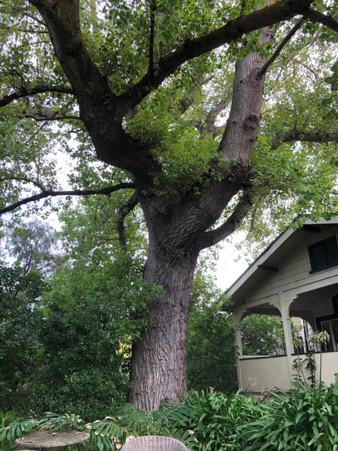 Lorelei Bed & Breakfast พอร์ตแลนด์ ภายนอก รูปภาพ